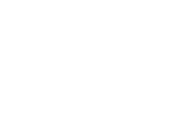 Dallas Employees’ Retirement Fund